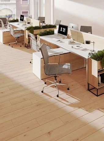 Ламинат Egger PRO Classic 10-33 Дуб Дикий Натуральный