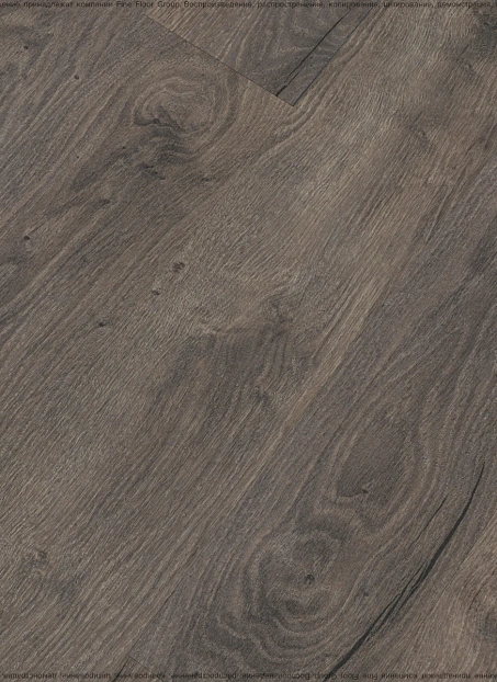 Ламинат Kastamonu Floorpan MARSALA Дуб Сабах