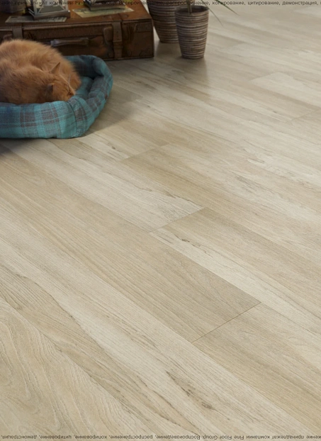 Кварц-винил (LVT) Fine Floor FF-WOOD Дуб Реймс