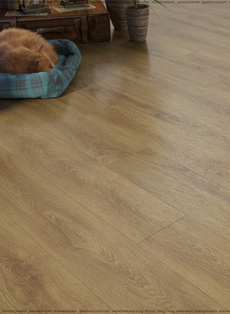 Кварц-винил (LVT) Fine Floor FF-WOOD  Дуб Квебек