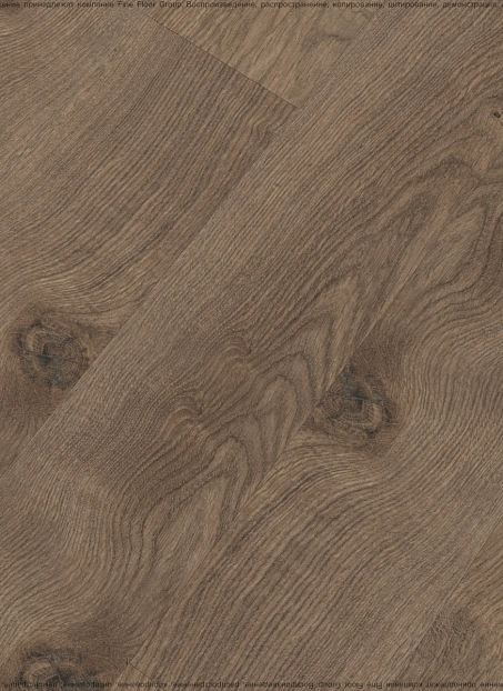 Ламинат Kastamonu Floorpan MARSALA Дуб Реданг