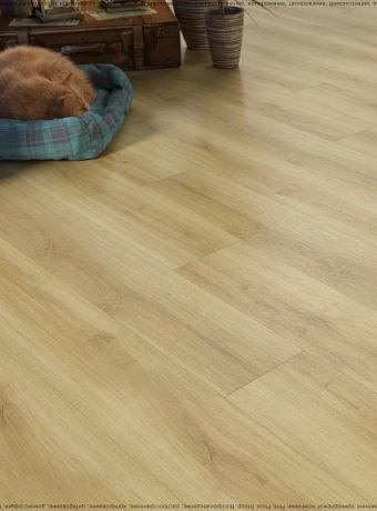 Кварц-винил (LVT) Fine Floor FF-WOOD Дуб Базель