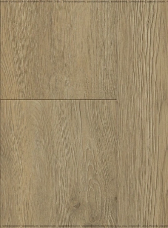 Виниловый ламинат (SPC) Respect FLOOR  Дуб Золотистый