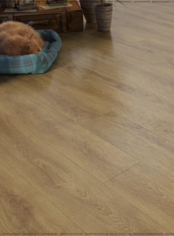 Кварц-винил (LVT) Fine Floor FF-WOOD Дуб Квебек