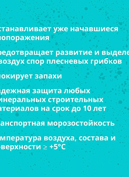 Чистящее средство Goldbastik BL43-1К