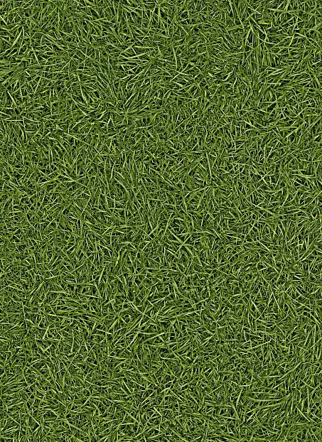 Линолеум рулонный IVC Home VISION Grass T25 шириной 4 м>